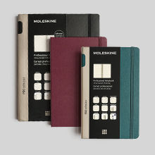Moleskine Professional notebook