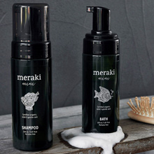Meraki Mini