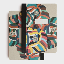 papier tigre notebooks